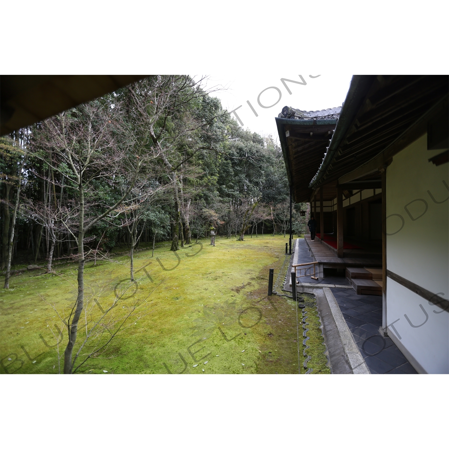 Garden in Koto-in in Daitoku-ji in Kyoto