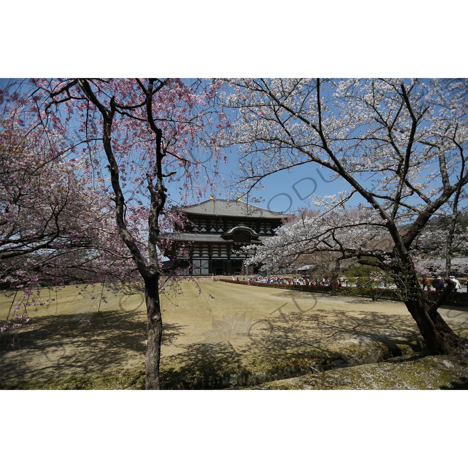 Big Buddha Hall (Daibutsuden) of Todaiji in Nara