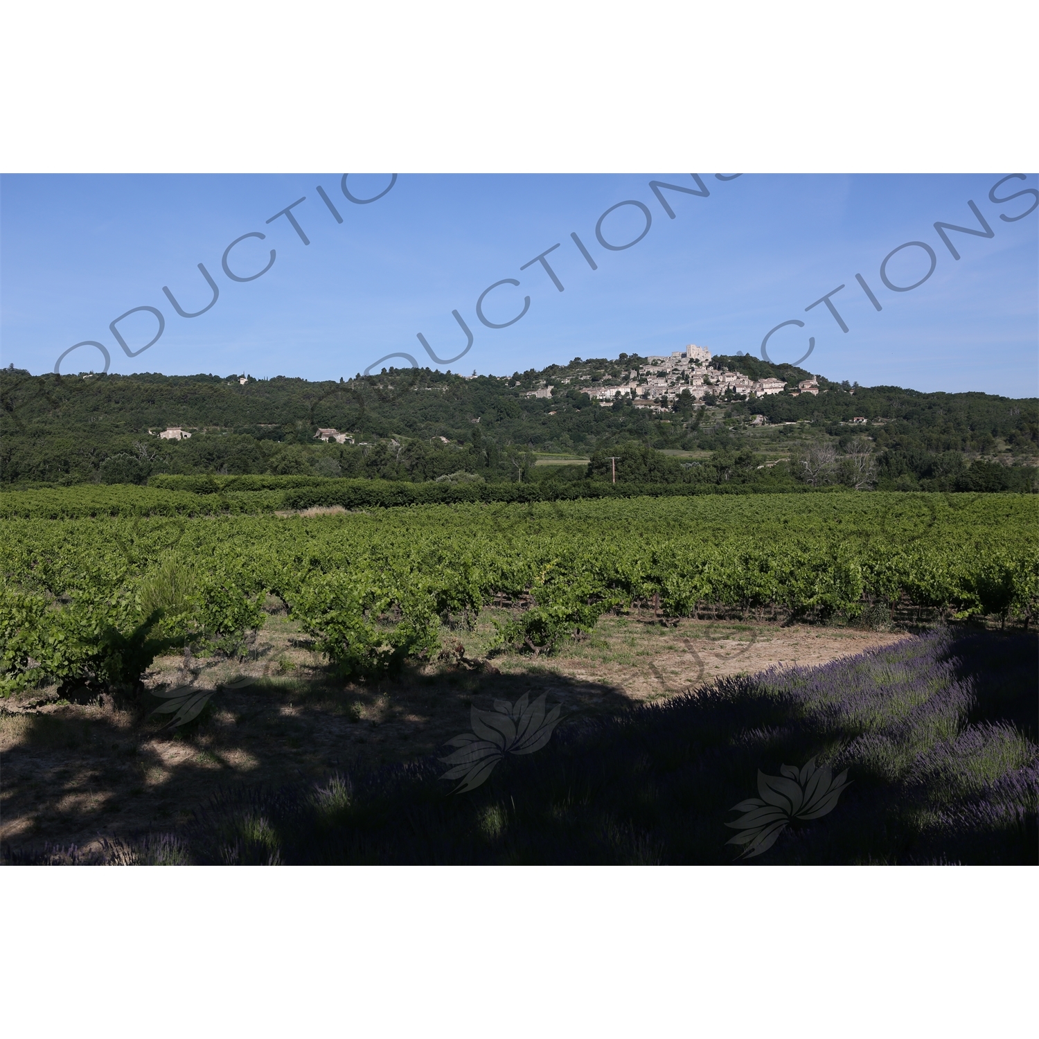 Château de Lacoste above Lacoste