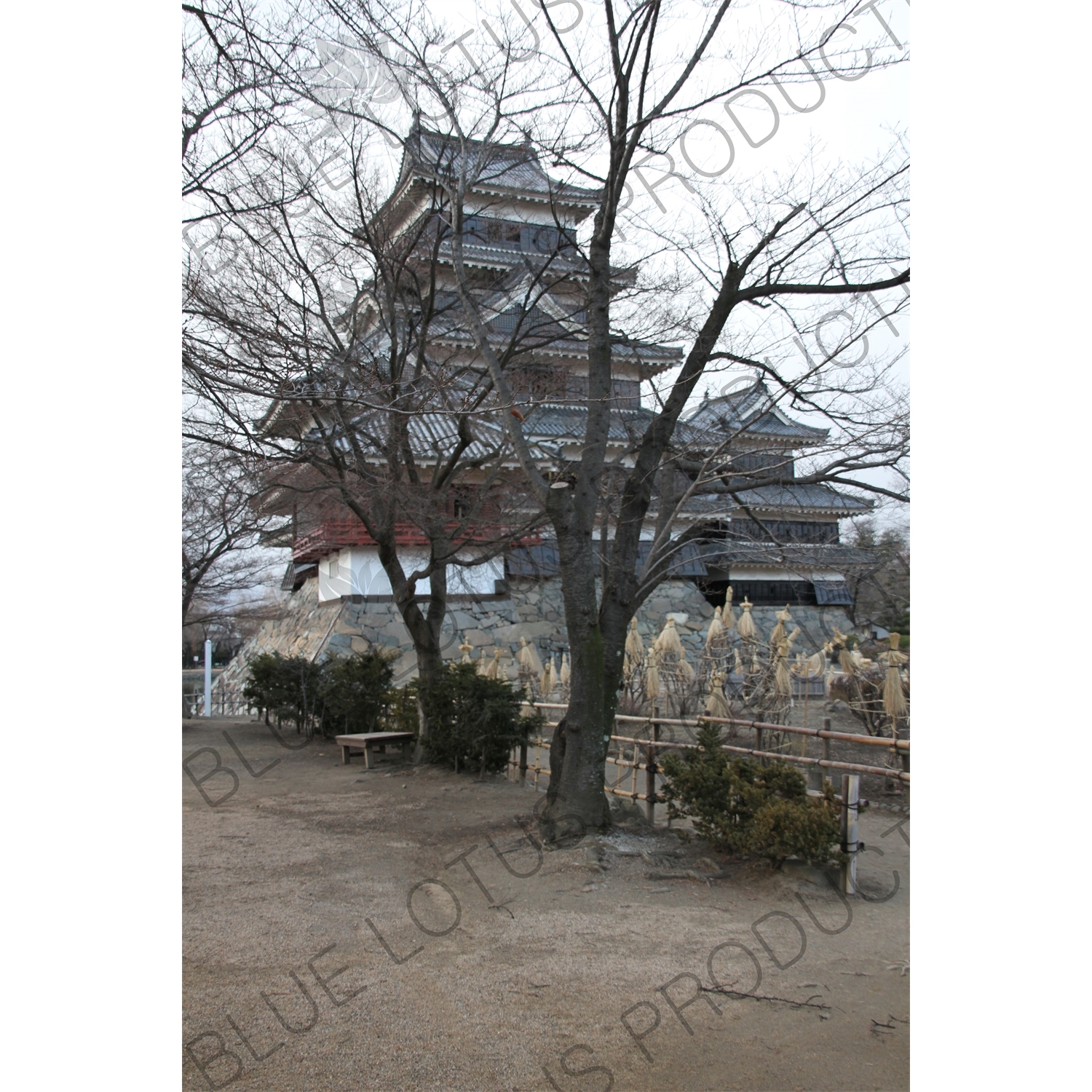 Keep (Tenshu/Tenshukaku) of Matsumoto Castle in Matsumoto