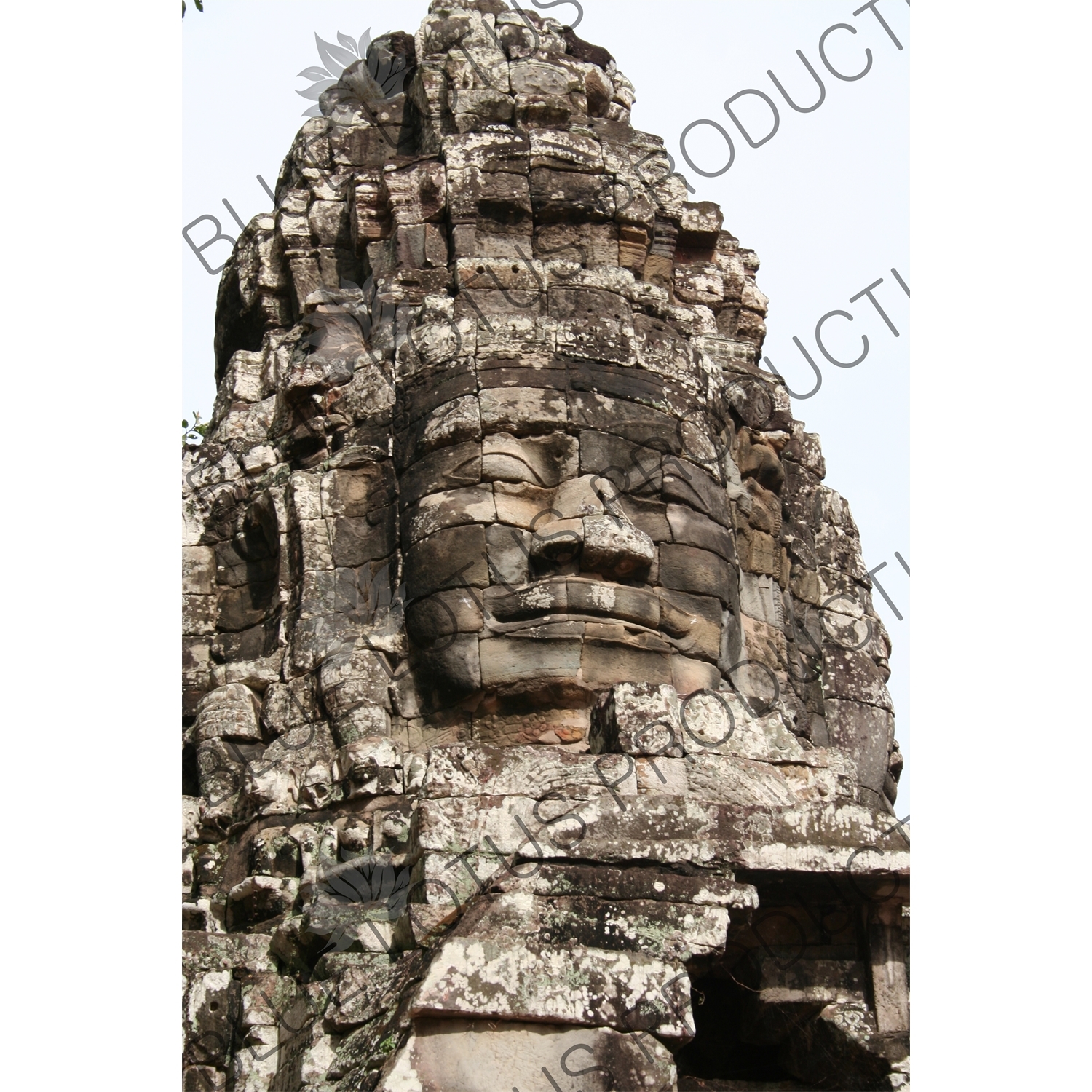 Face Carving at Ta Prohm in Angkor