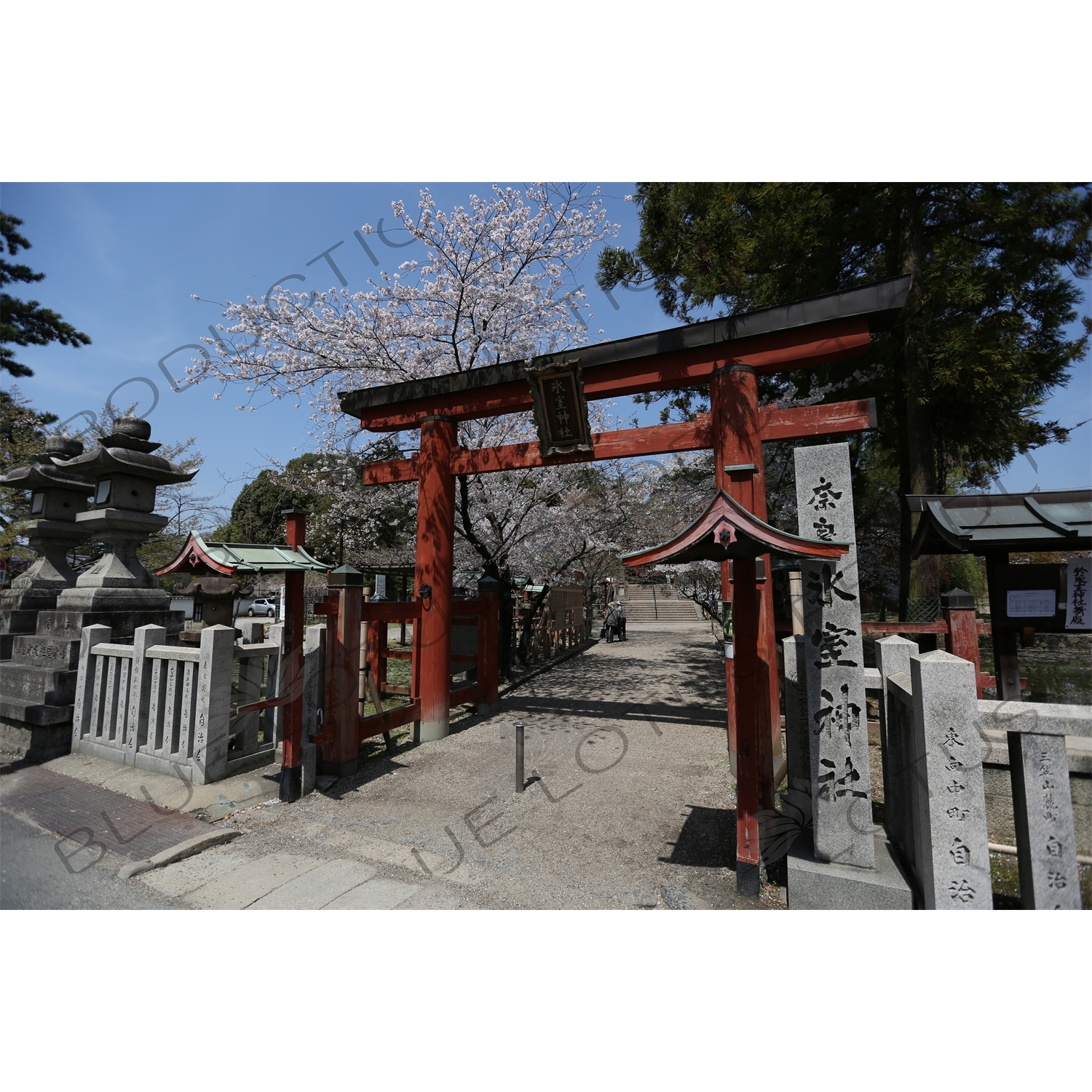 Torii of Himuro Jinja in Nara