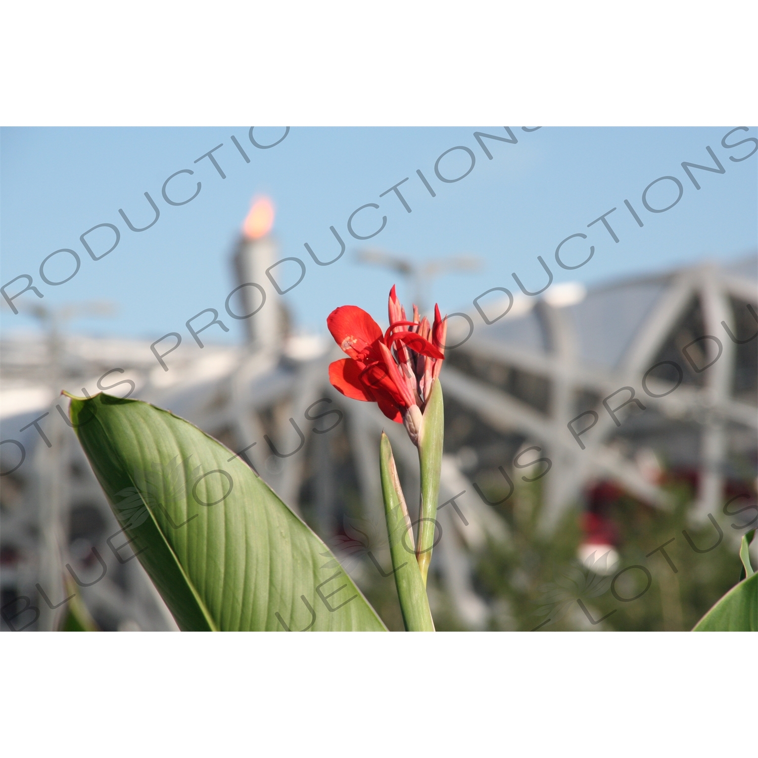 Olympic Flame and the Bird's Nest/National Stadium (Niaochao/Guojia Tiyuchang) in the Olympic Park in Beijing