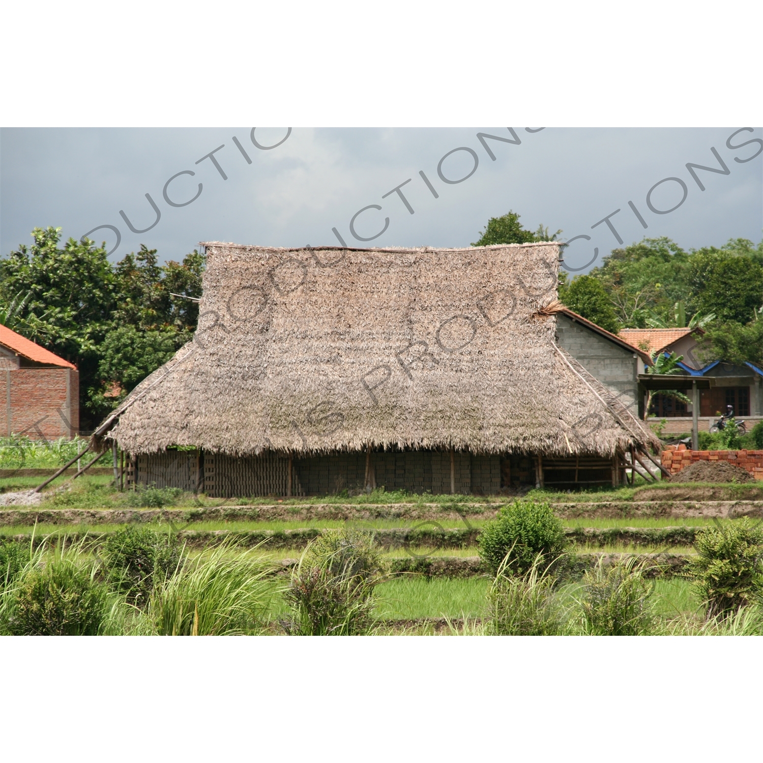 Straw House near Yogyakarta