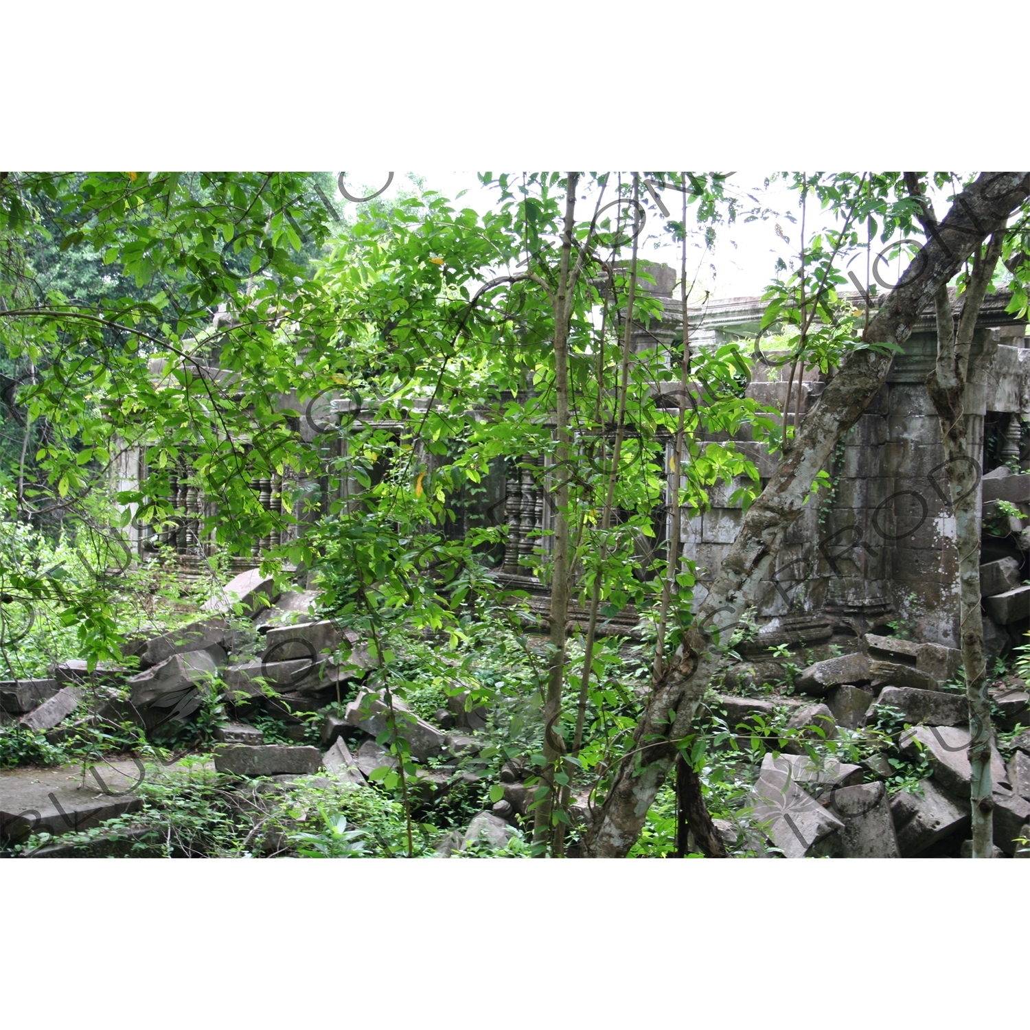 Exterior Wall of Beng Melea in Angkor