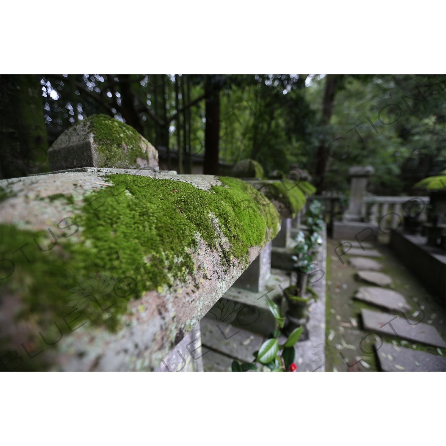 Graves of the Hosokawa Clan in the Grounds of Koto-in in Daitoku-ji in Kyoto