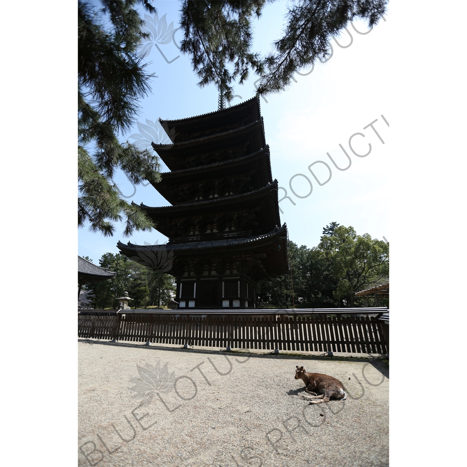 Goju-no-to (Five Storied Pagoda) at Himuro Jinja in Nara