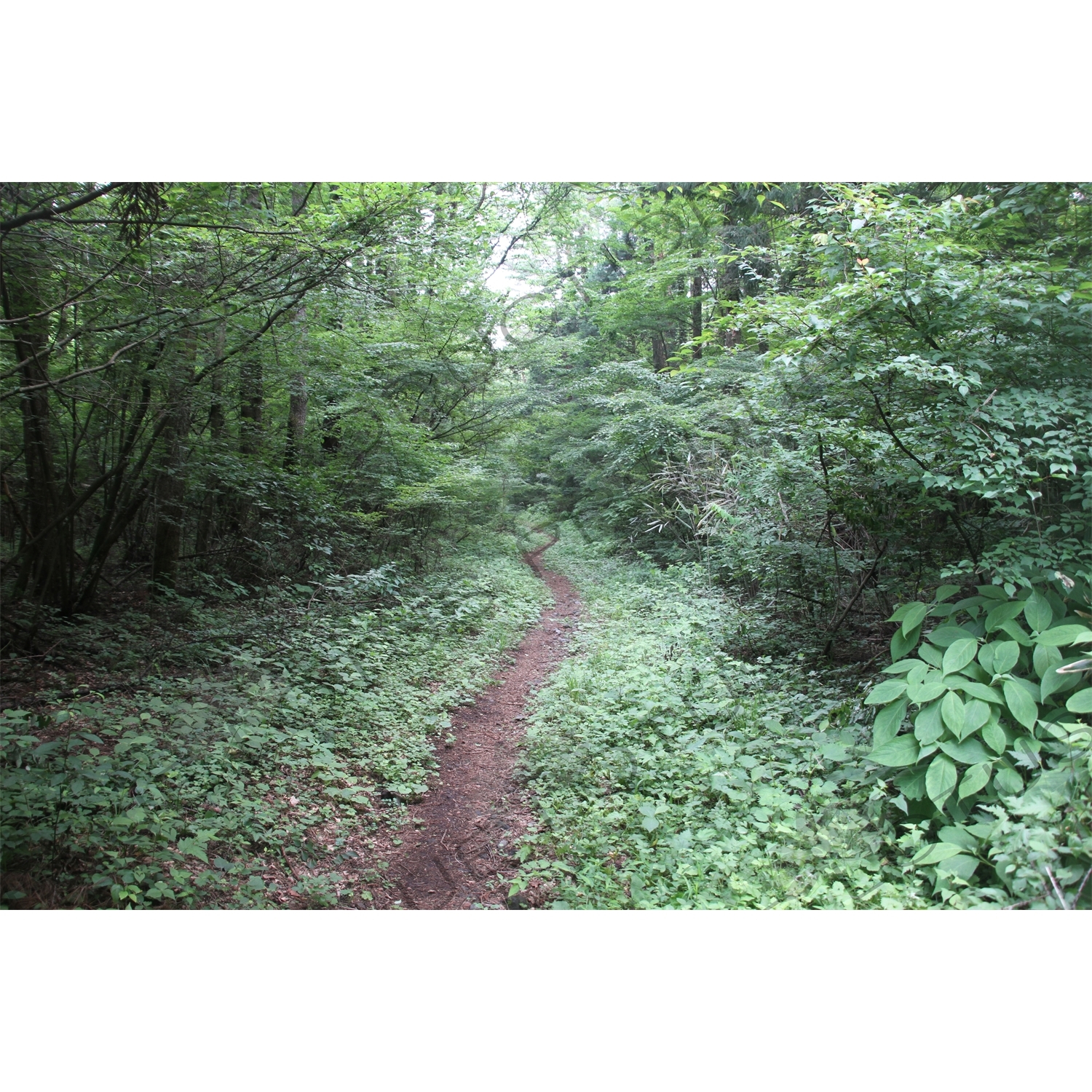 Yoshida Trail to Mount Fuji