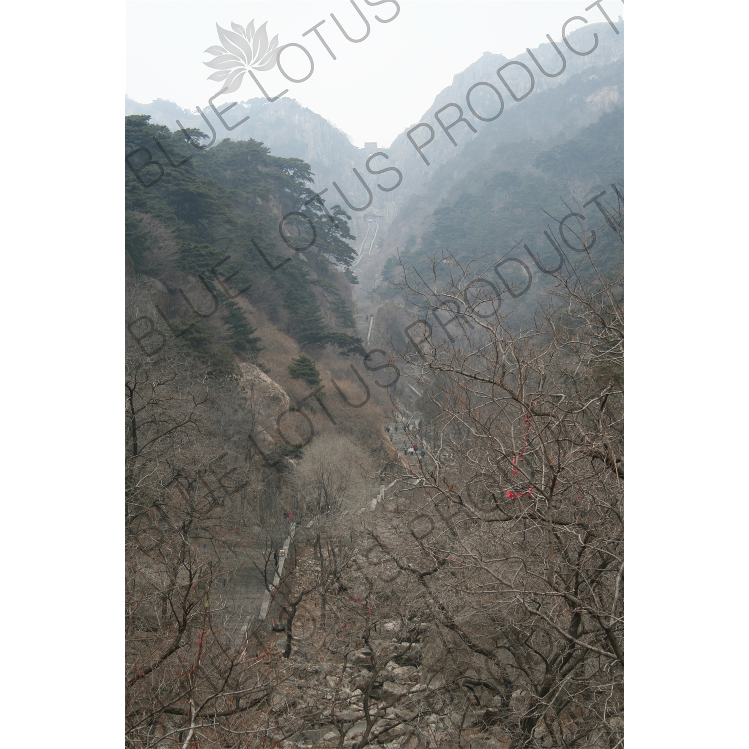 Stairway Leading to the Summit of Mount Tai (Tai Shan) in Shandong Province