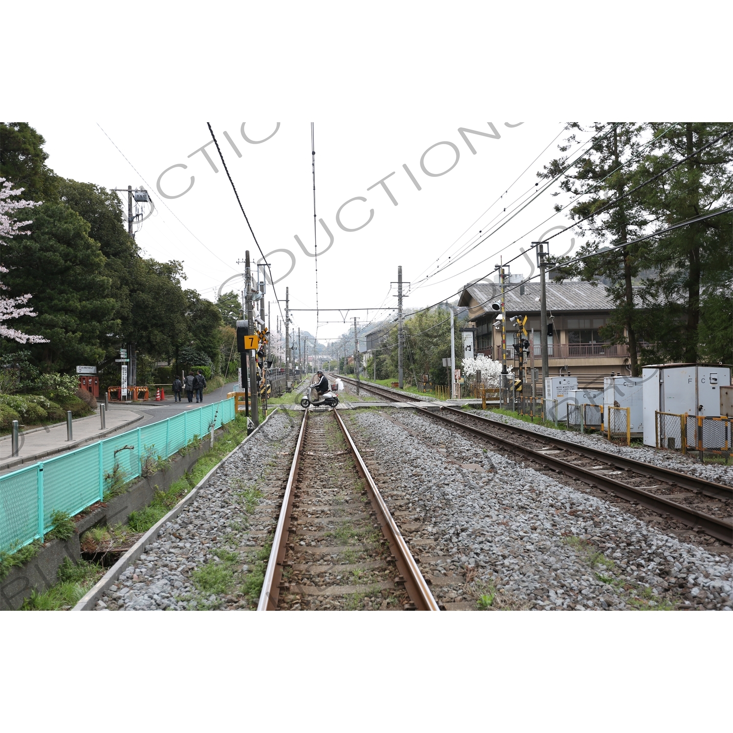 Moped Driving across Train Tracks in Kamakura