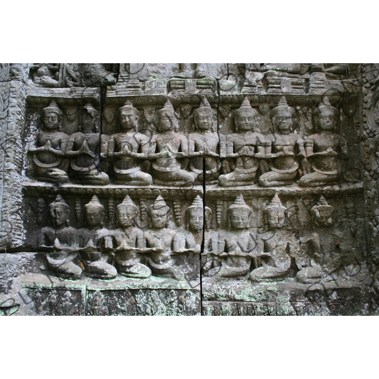 Wall Sculpture at Ta Prohm in Angkor