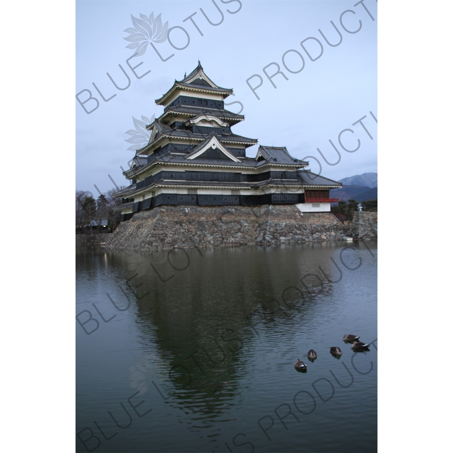 Keep (Tenshu/Tenshukaku) of Matsumoto Castle in Matsumoto