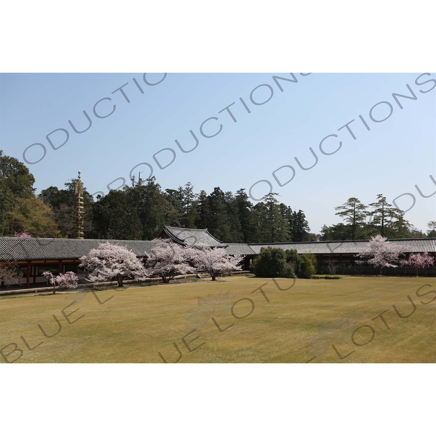 Grounds of the Big Buddha Hall (Daibutsuden) of Todaiji in Nara