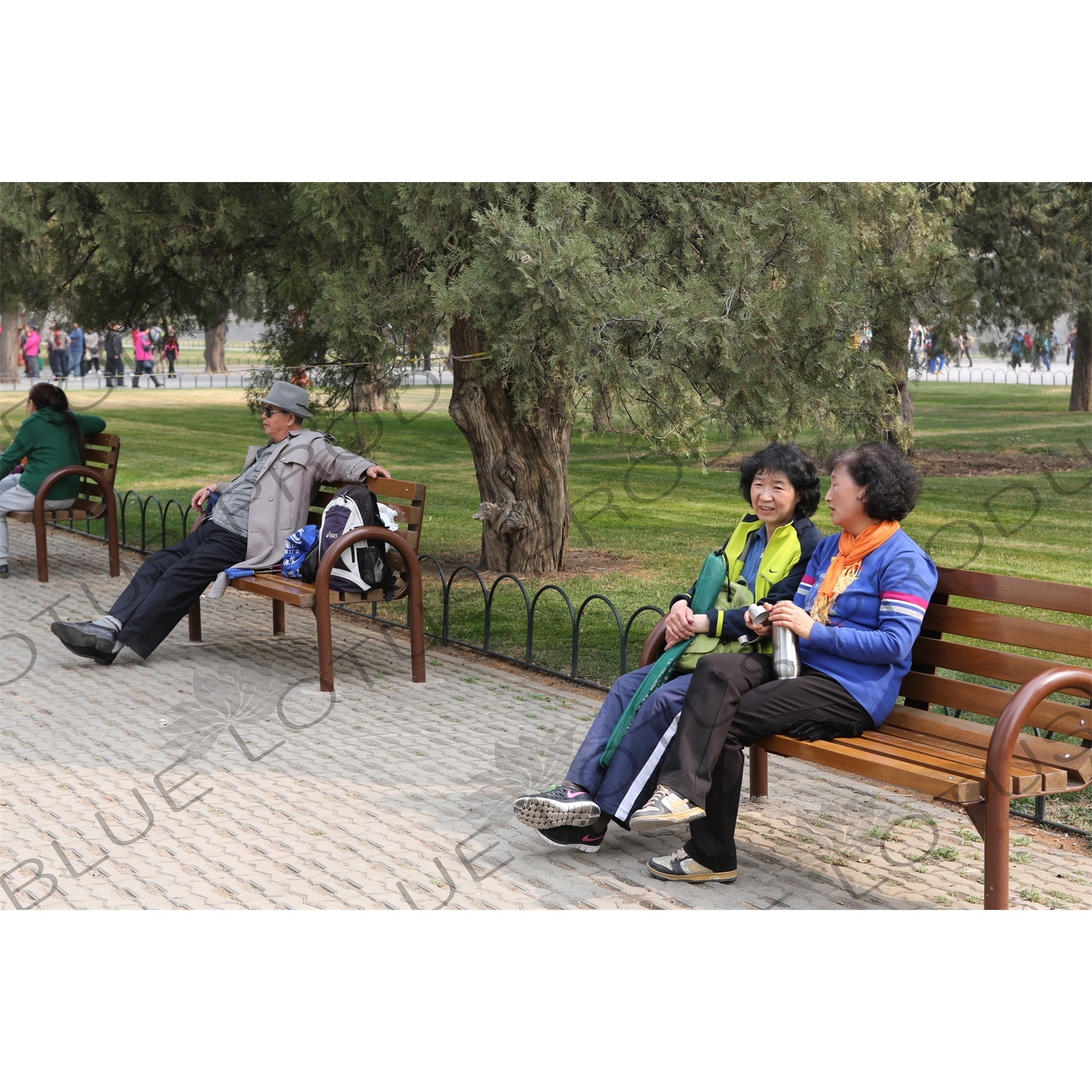 People Sitting on Benches in the Temple of Heaven (Tiantan) in Beijing