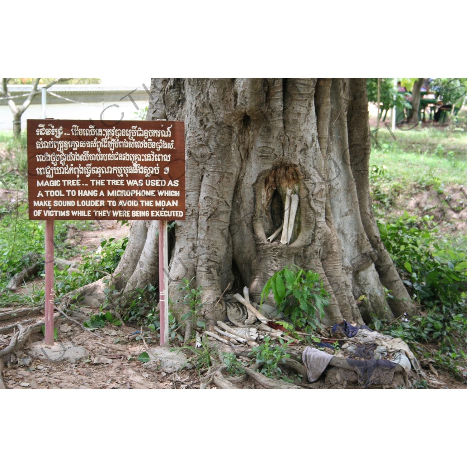 The 'Magic Tree' at the Choeung Ek Killing Fields near Phnom Penh