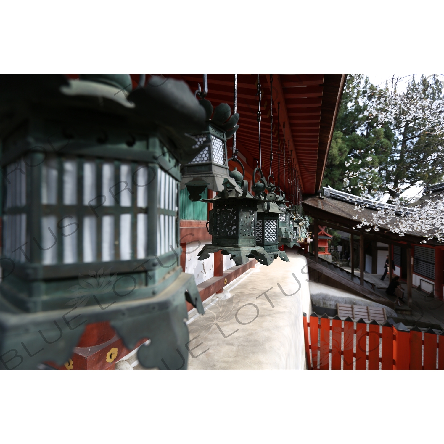 Kasuga Grand Shrine (Kasuga-taisha) in Nara