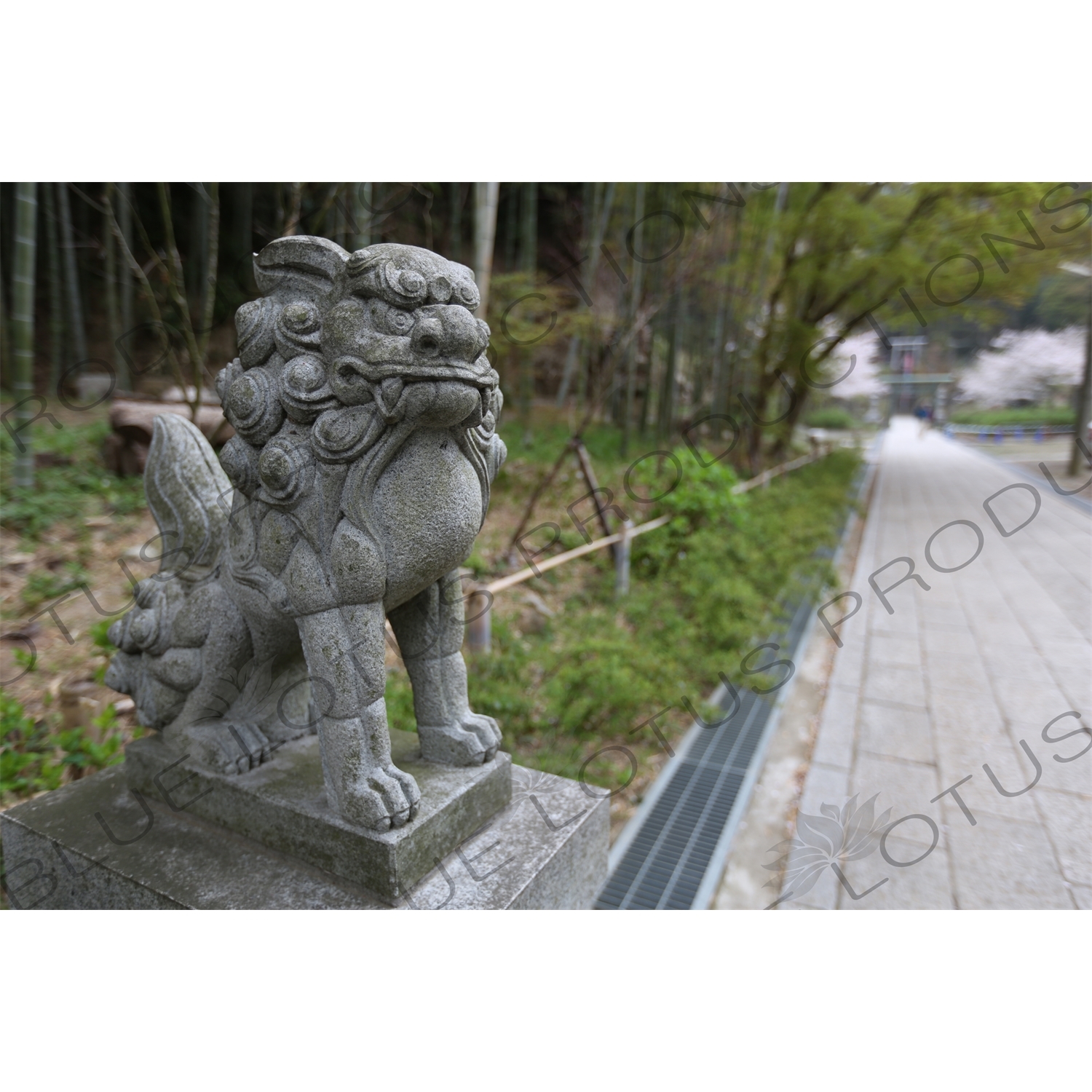 Lion Statue on the way to Hansobo above Kencho-ji in Kamakura