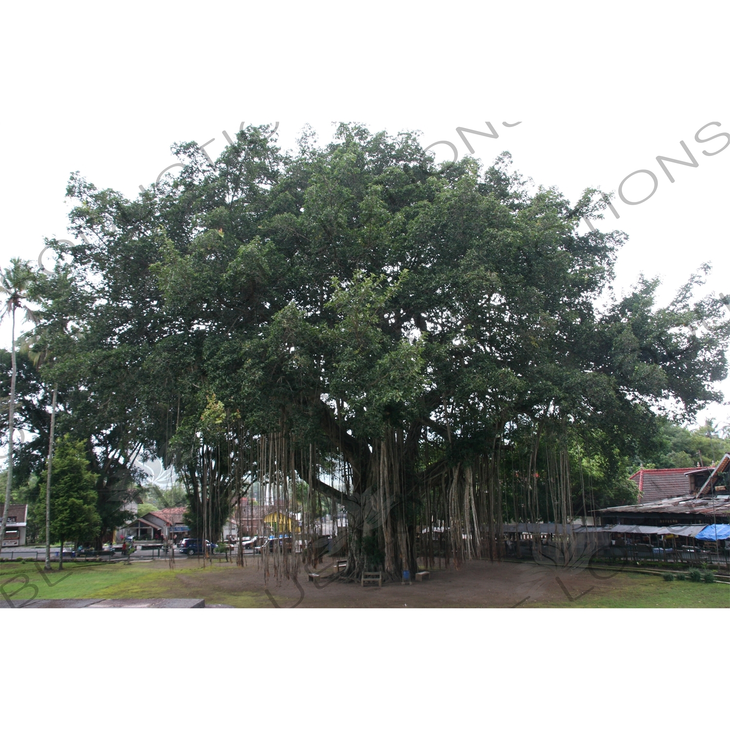 Mendut Temple