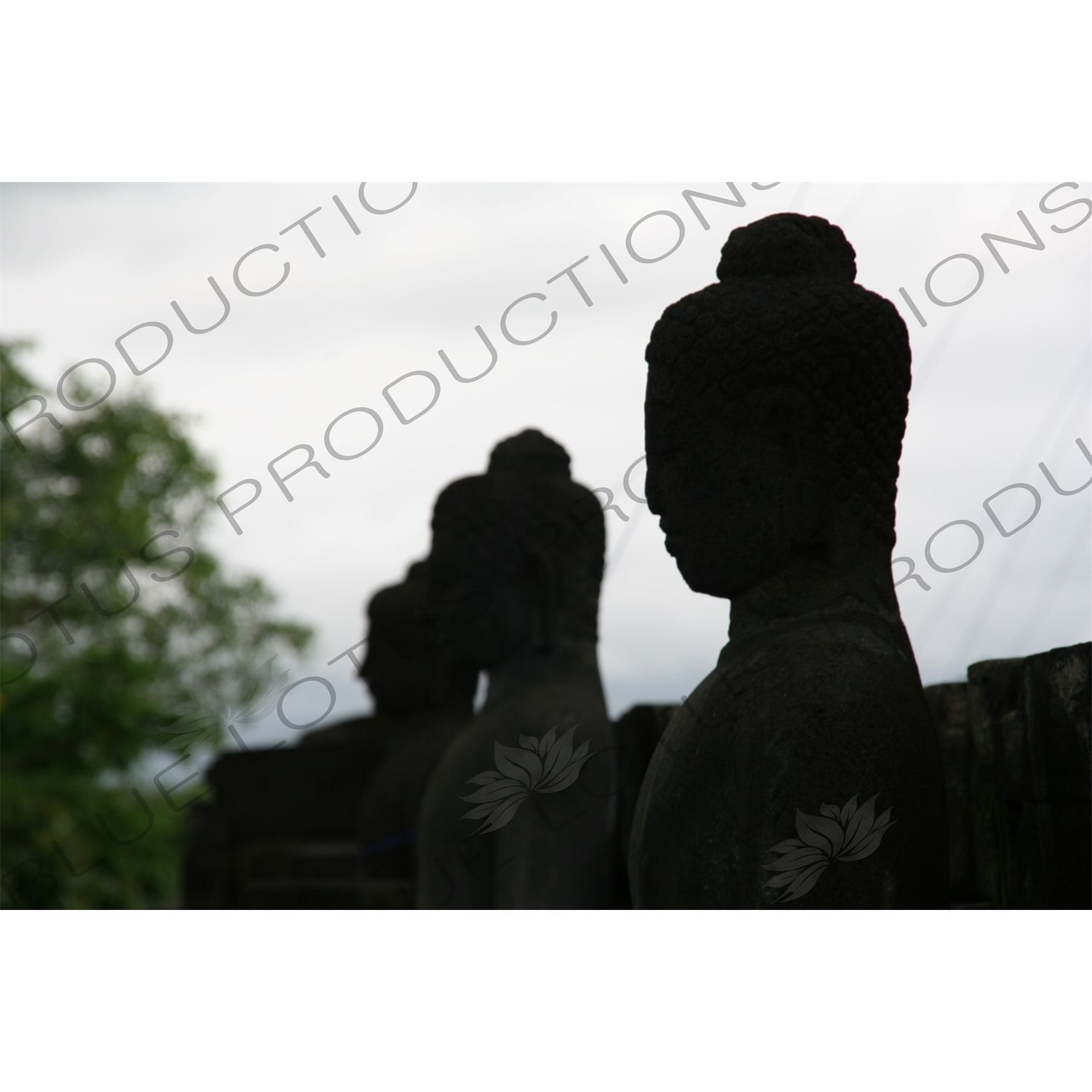 Buddhist Statues at Borobudur