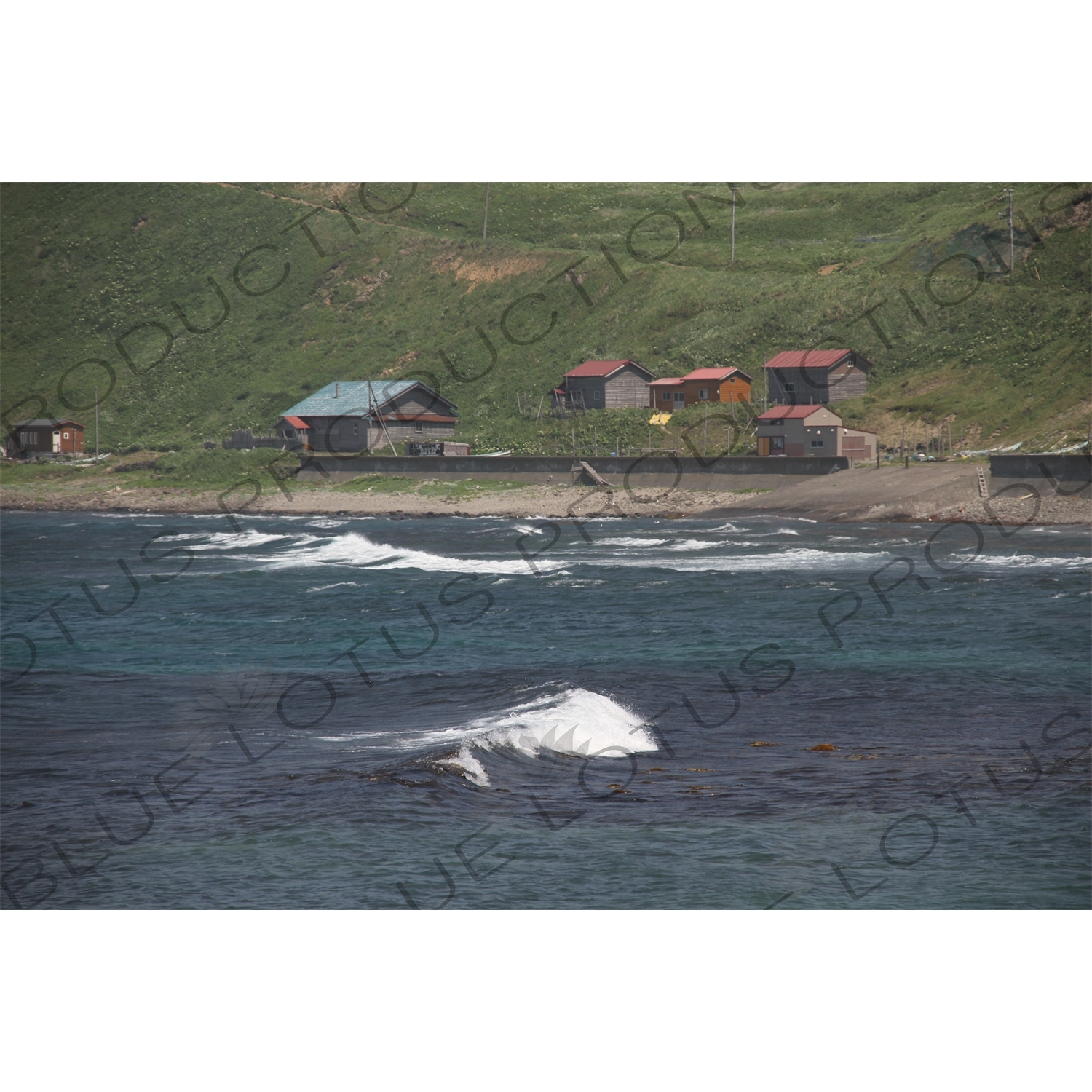 Houses on the Coastline of Rebun