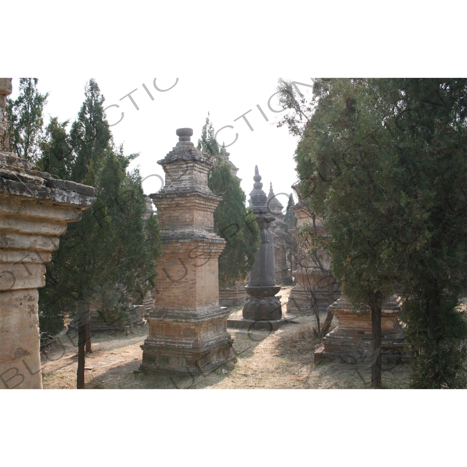 Pagoda Forest at the Shaolin Temple in Dengfeng