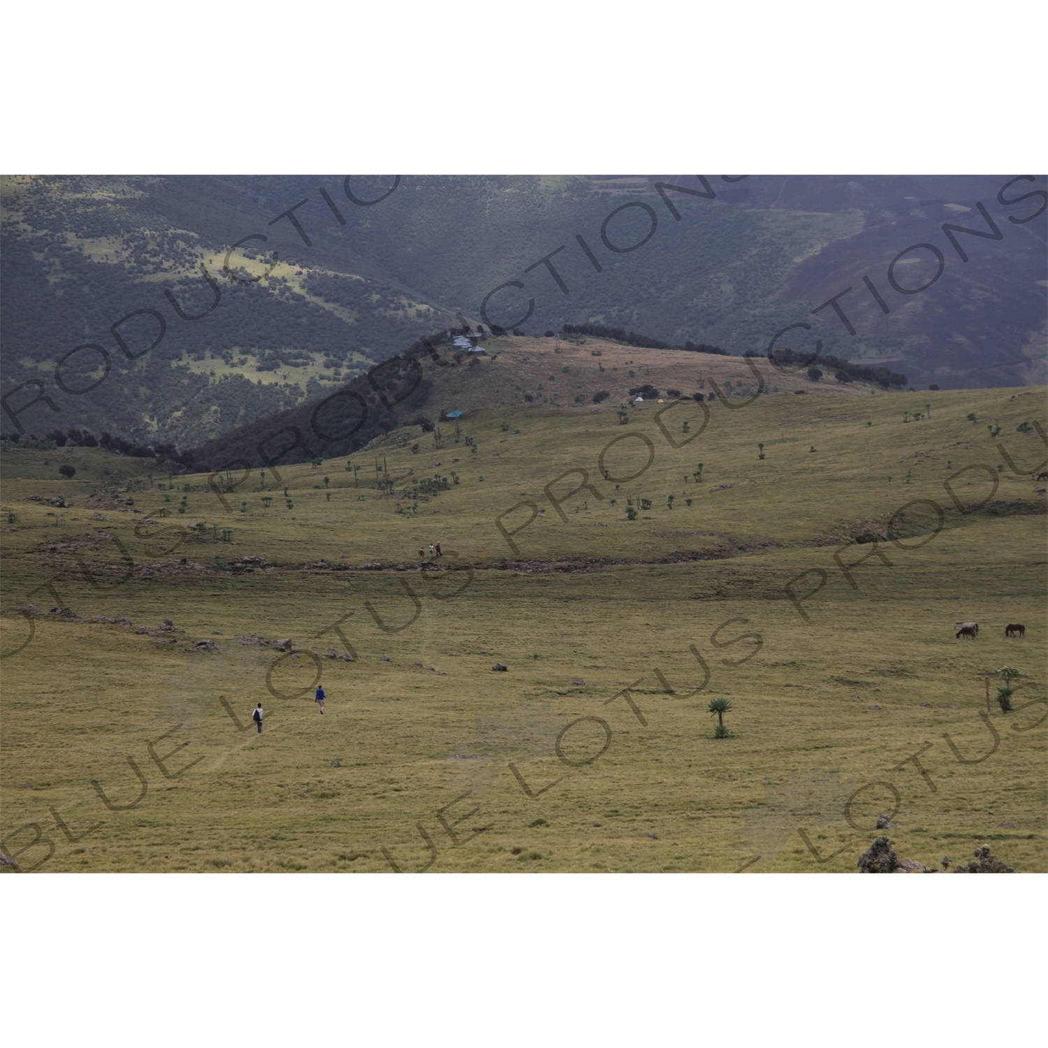 Simien Mountains National Park