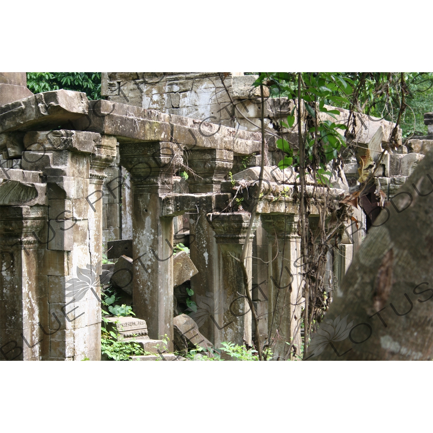 Ruined Columns at Beng Melea in Angkor