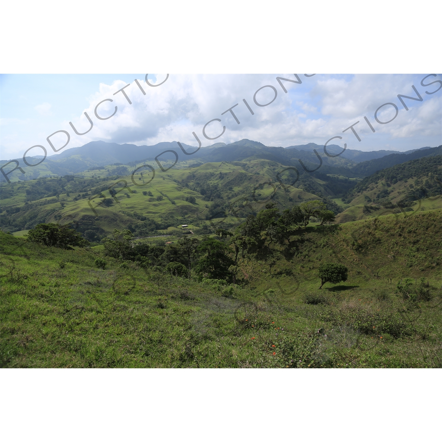 Hills around Monteverde