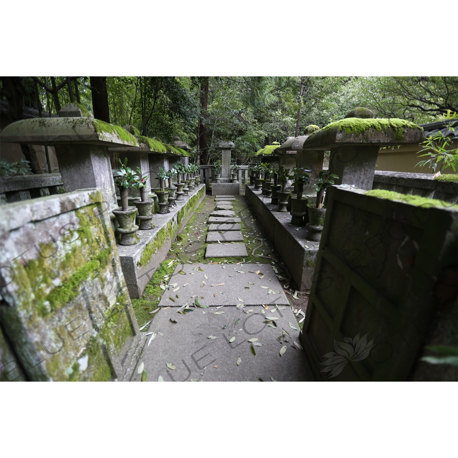 Graves of the Hosokawa Clan in the Grounds of Koto-in in Daitoku-ji in Kyoto