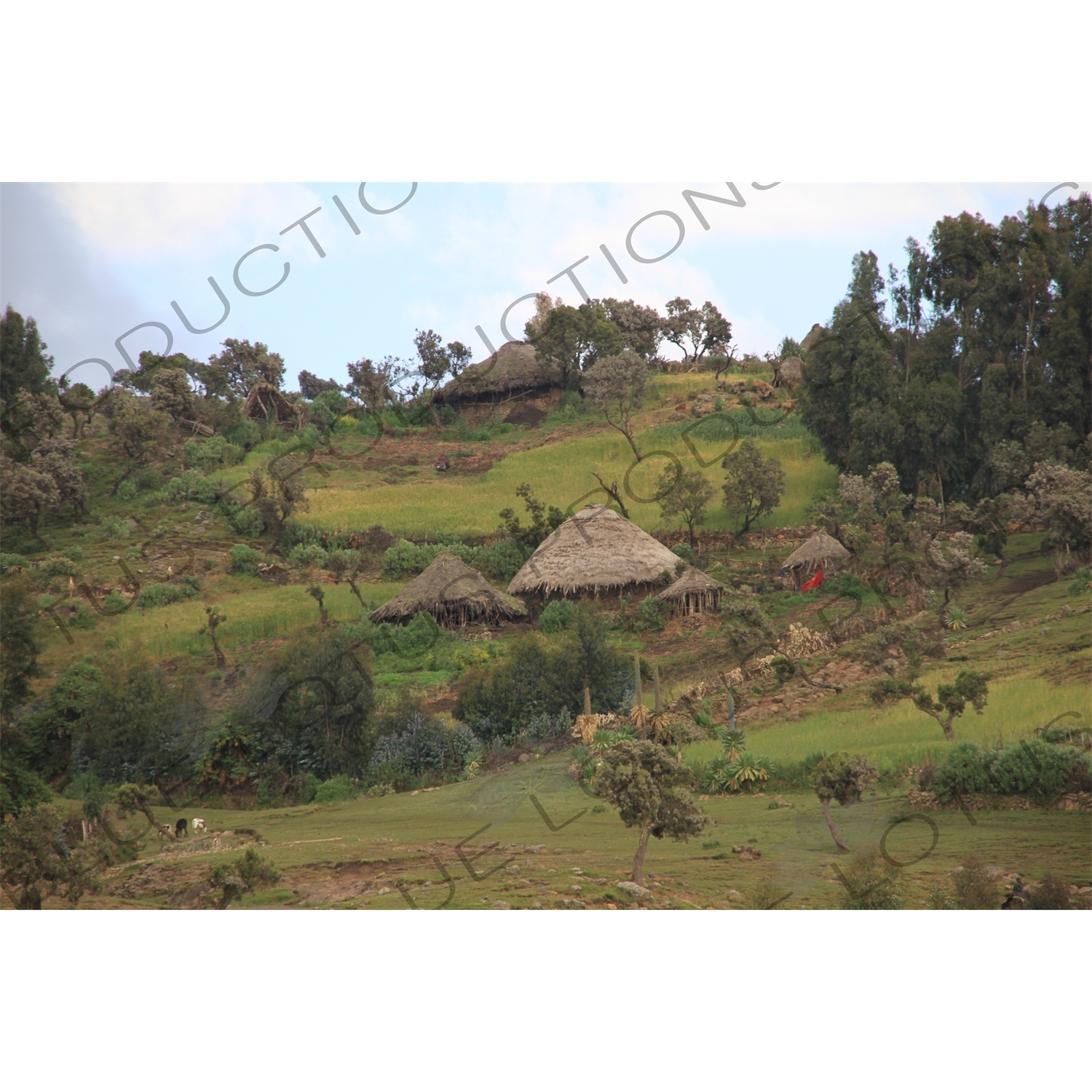 Small Village in Simien Mountains National Park