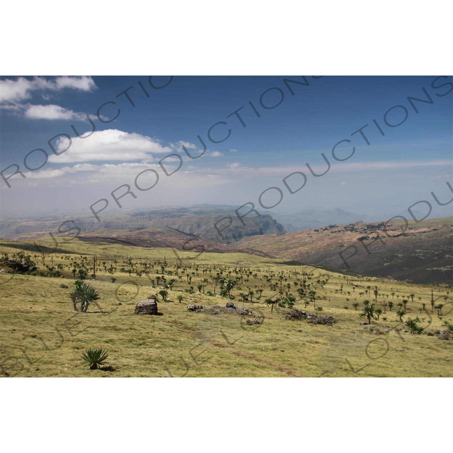 Simien Mountains National Park