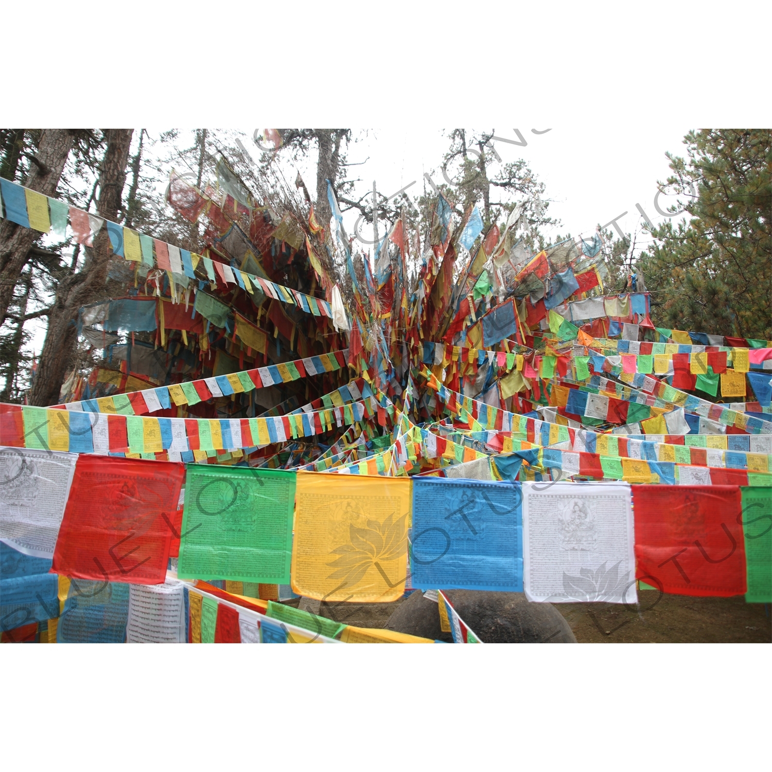 Buddhist Prayer Flags near Shangri-La/Zhongdian (Xiang Ge Li La) City