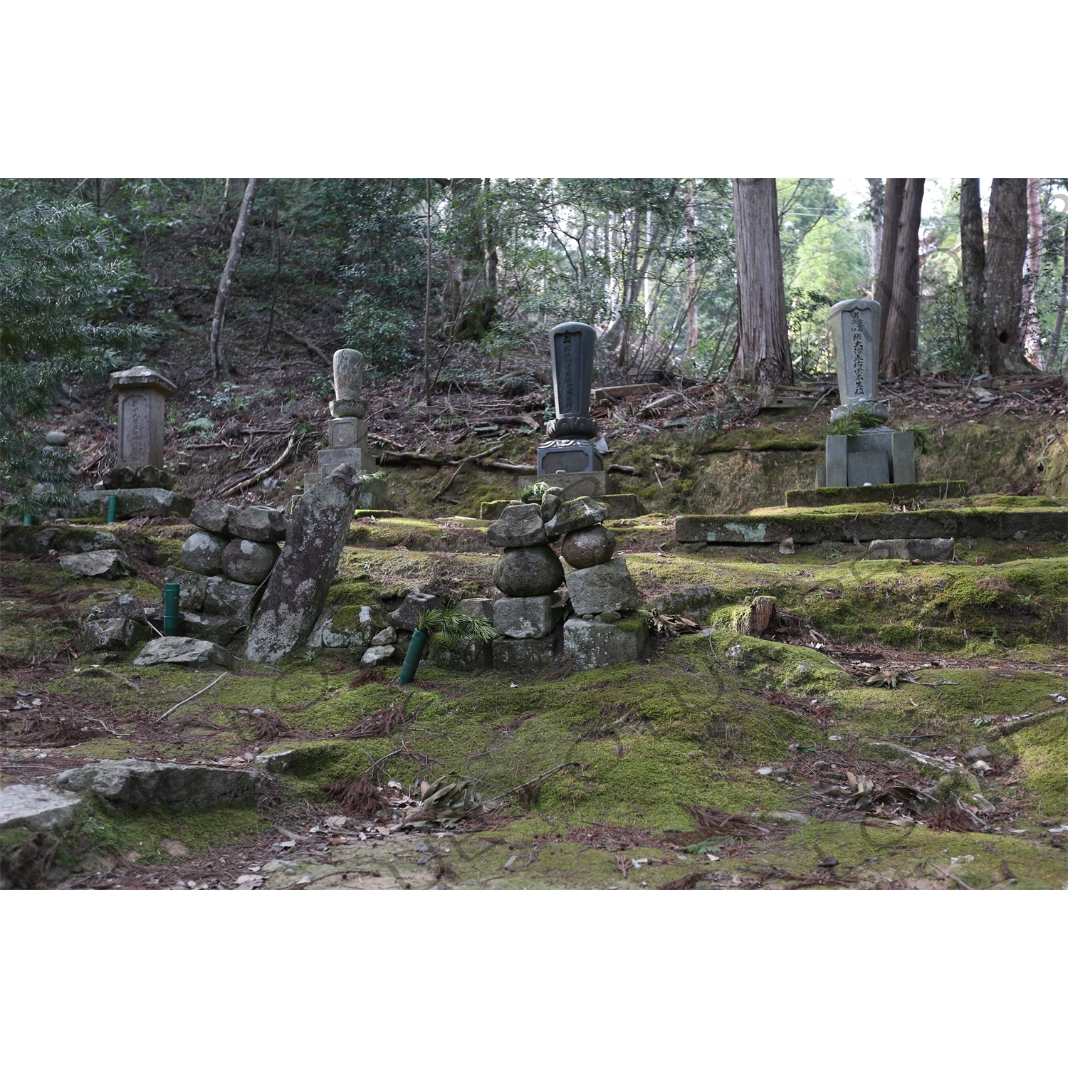 Graves on Mount Daishi