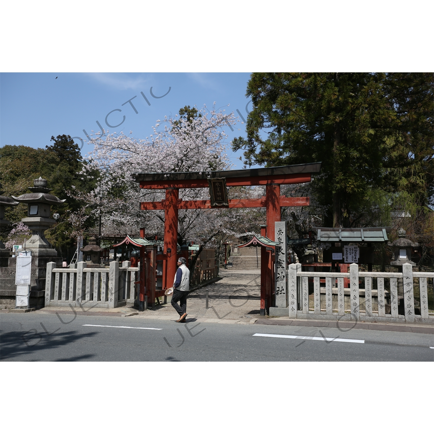 Torii of Himuro Jinja in Nara