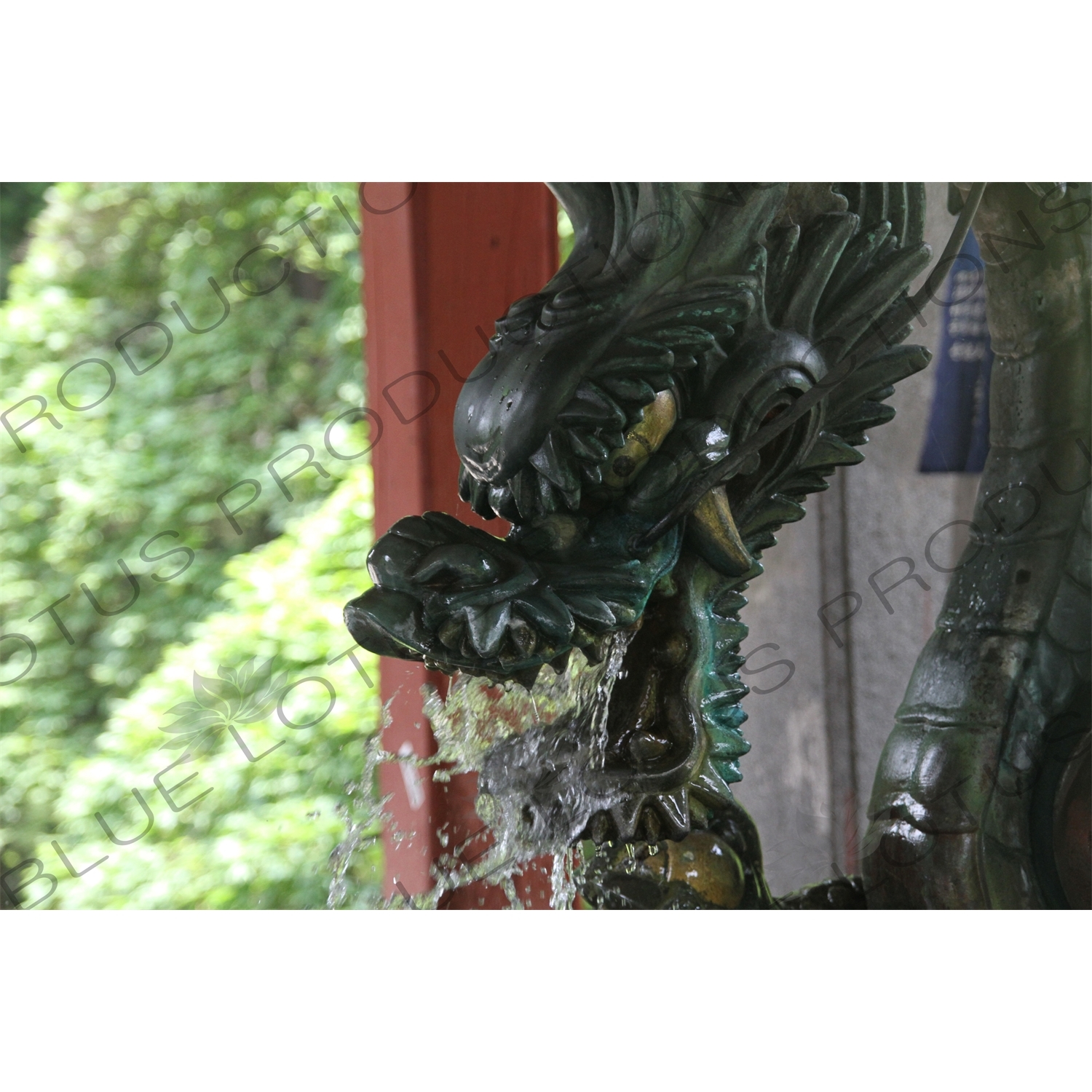 Dragon Spout Water Purification Basin (Chozubachi) in Fujiyoshida Sengen Shrine in Fujiyoshida