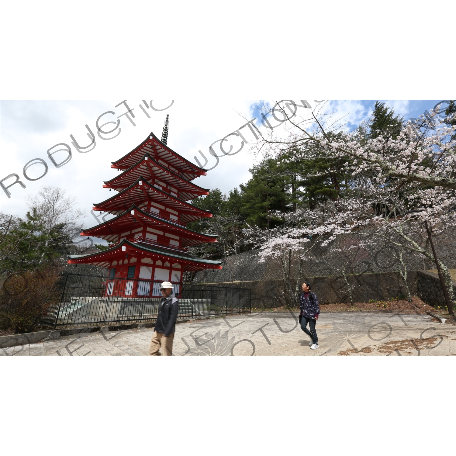 Chureito Pagoda in Fujiyoshida