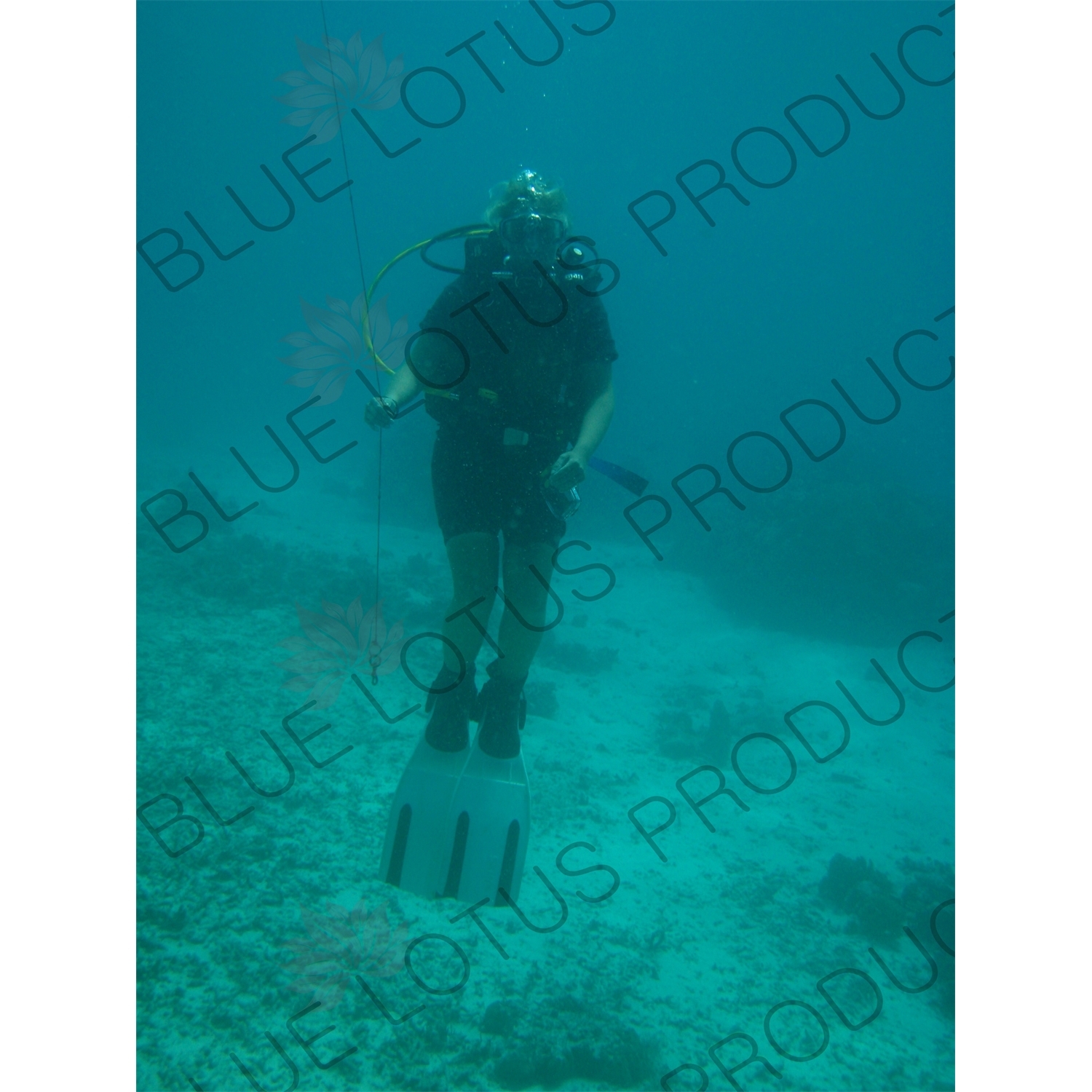 Scuba Diver off the Coast of Gili Meno