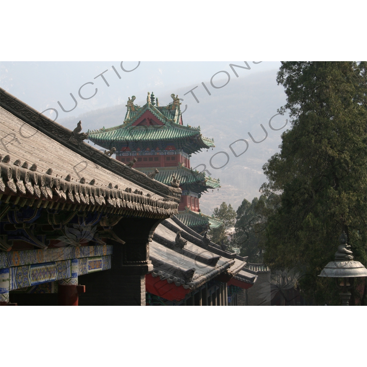 Roof Carving with Drum Tower in the Background at the Shaolin Temple in Dengfeng