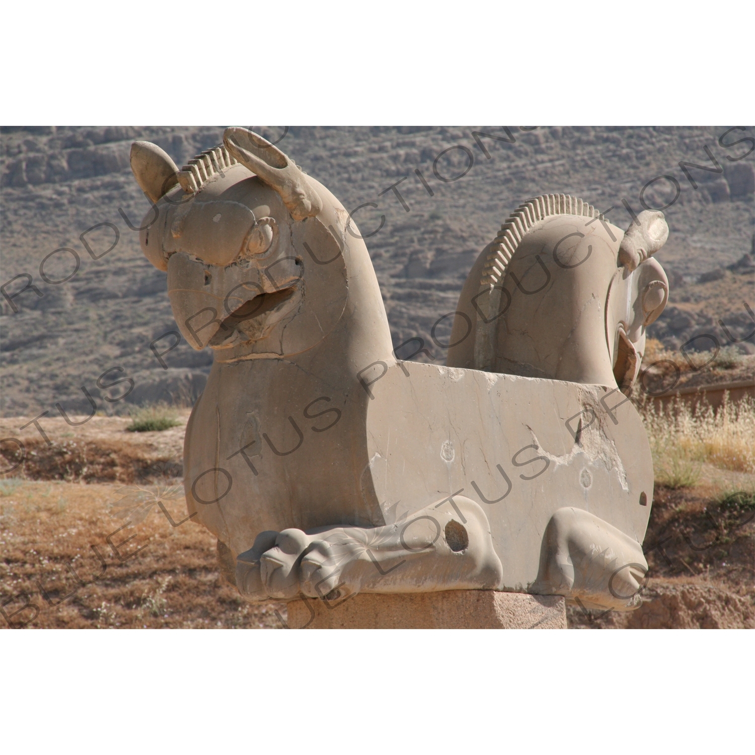 Double Headed Griffin Protome Capital at Persepolis