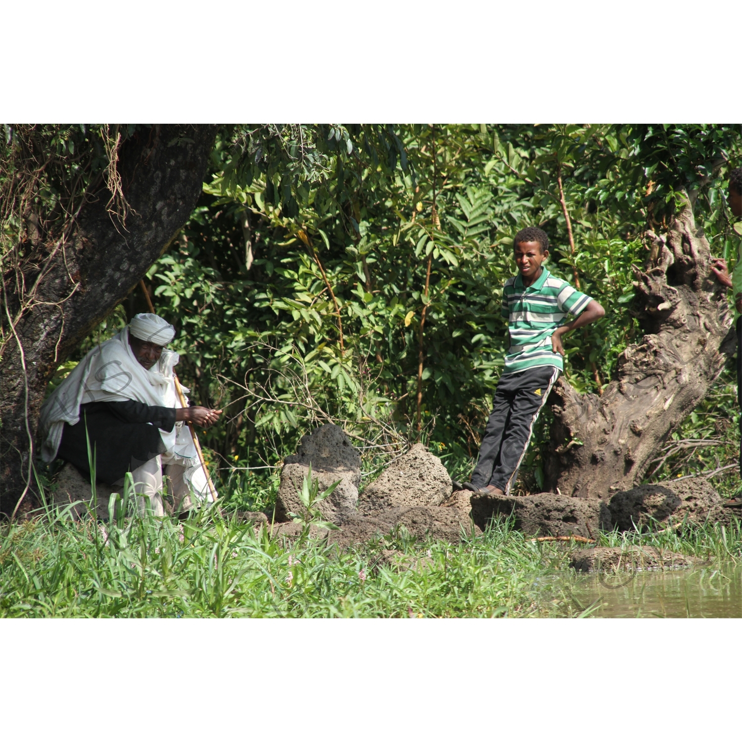 Bank of Lake Tana