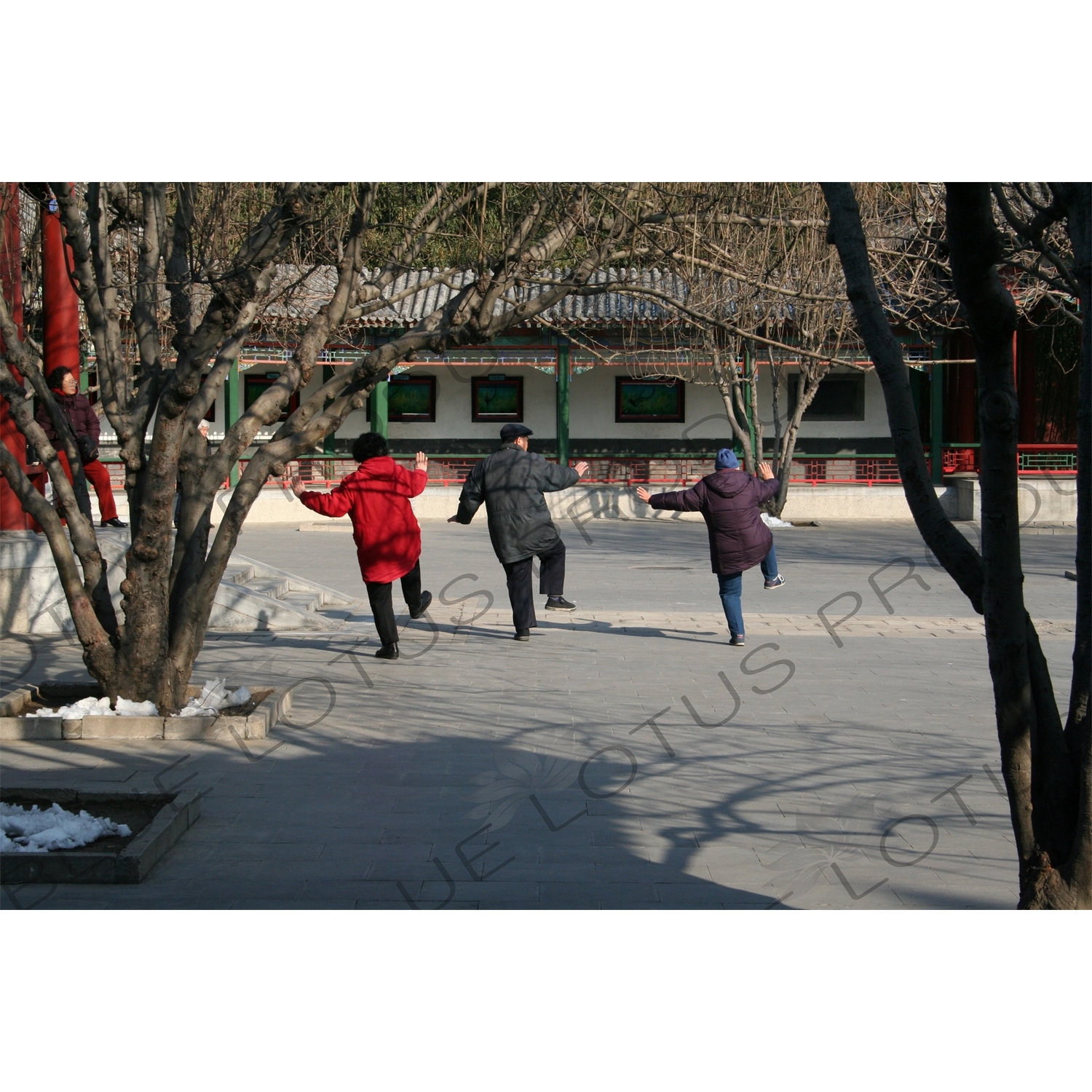 Tai Qi Practitioners in Zhongshan Park in Beijing