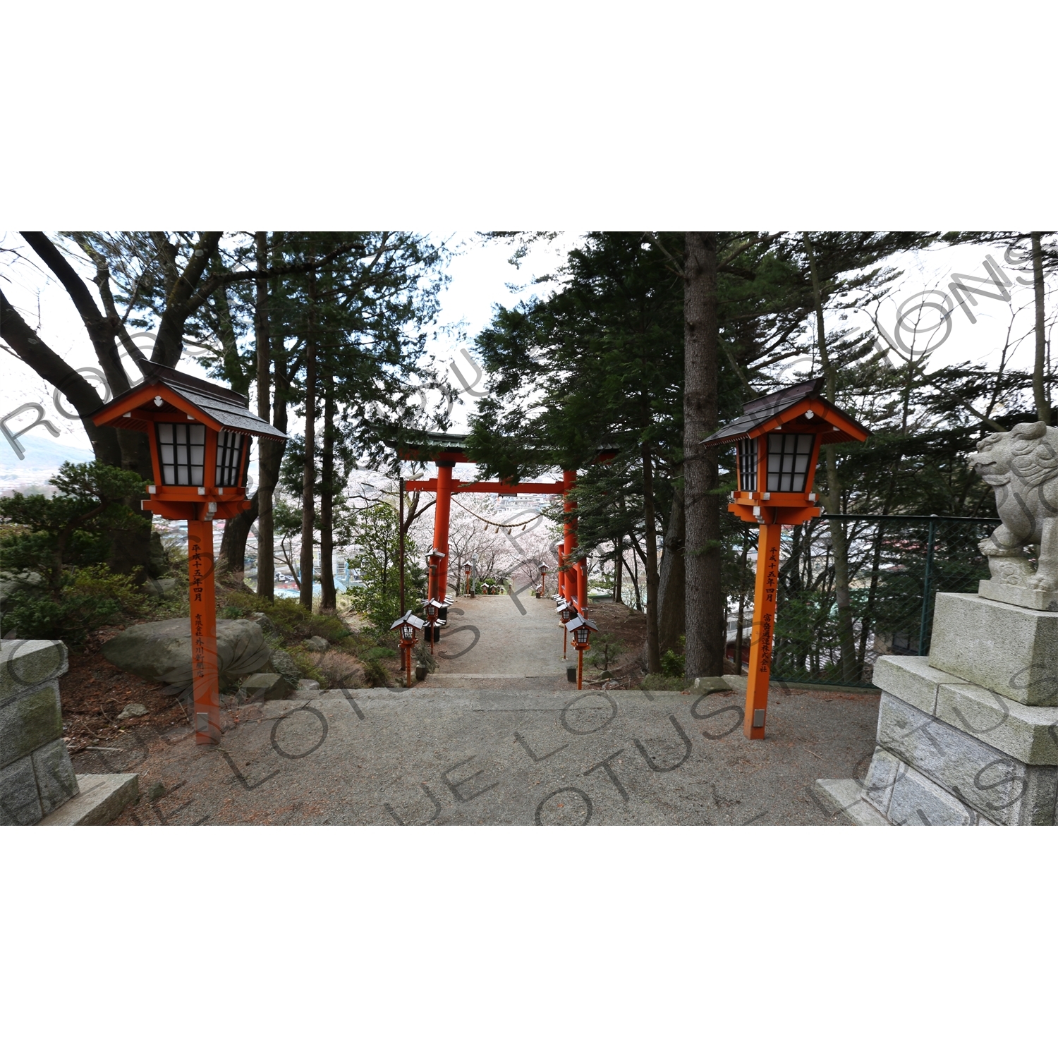 Torii at the Entrance to Arakura Sengen Shrine