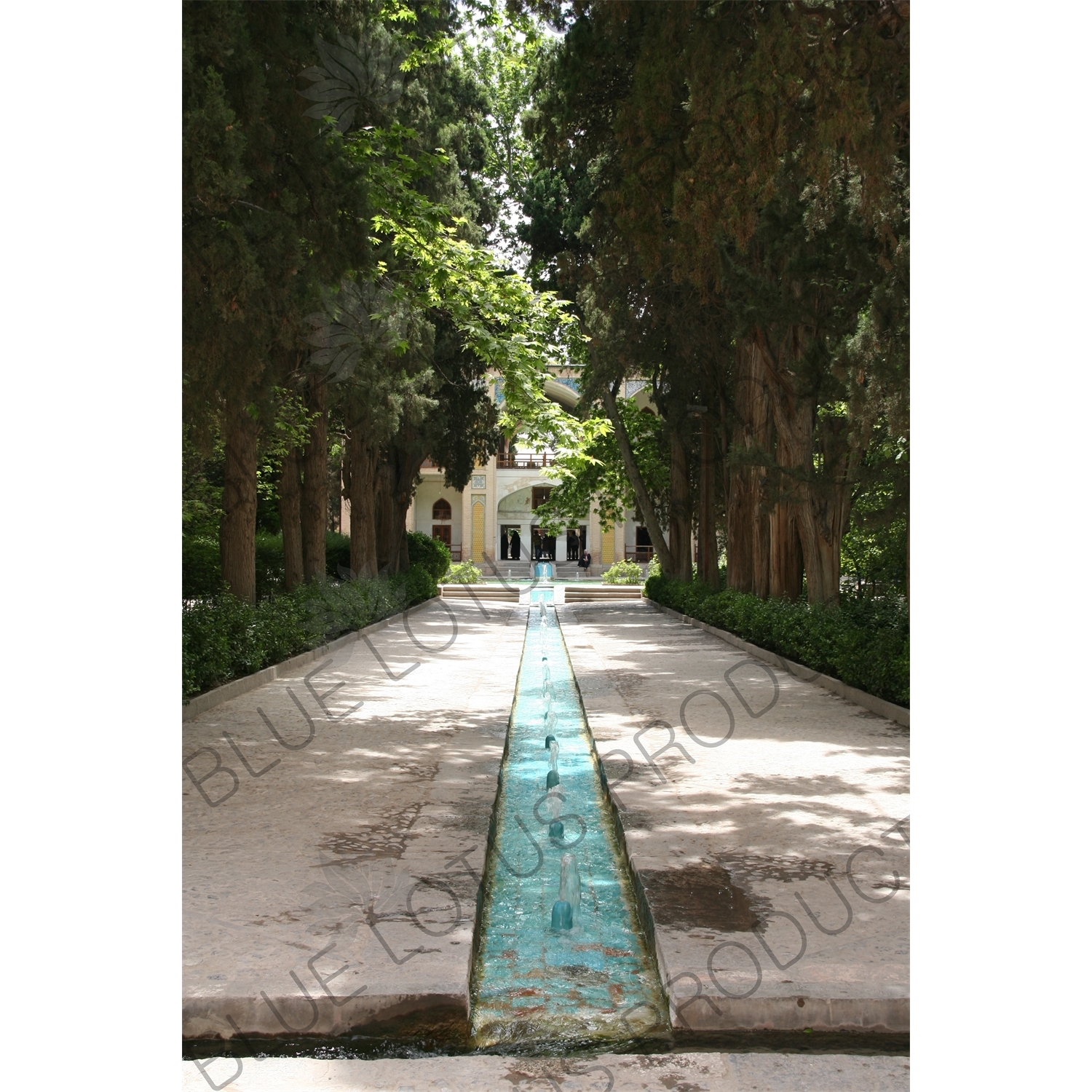 Jub (Canal) Carrying Water through the Bagh-e Fin Garden in Kashan