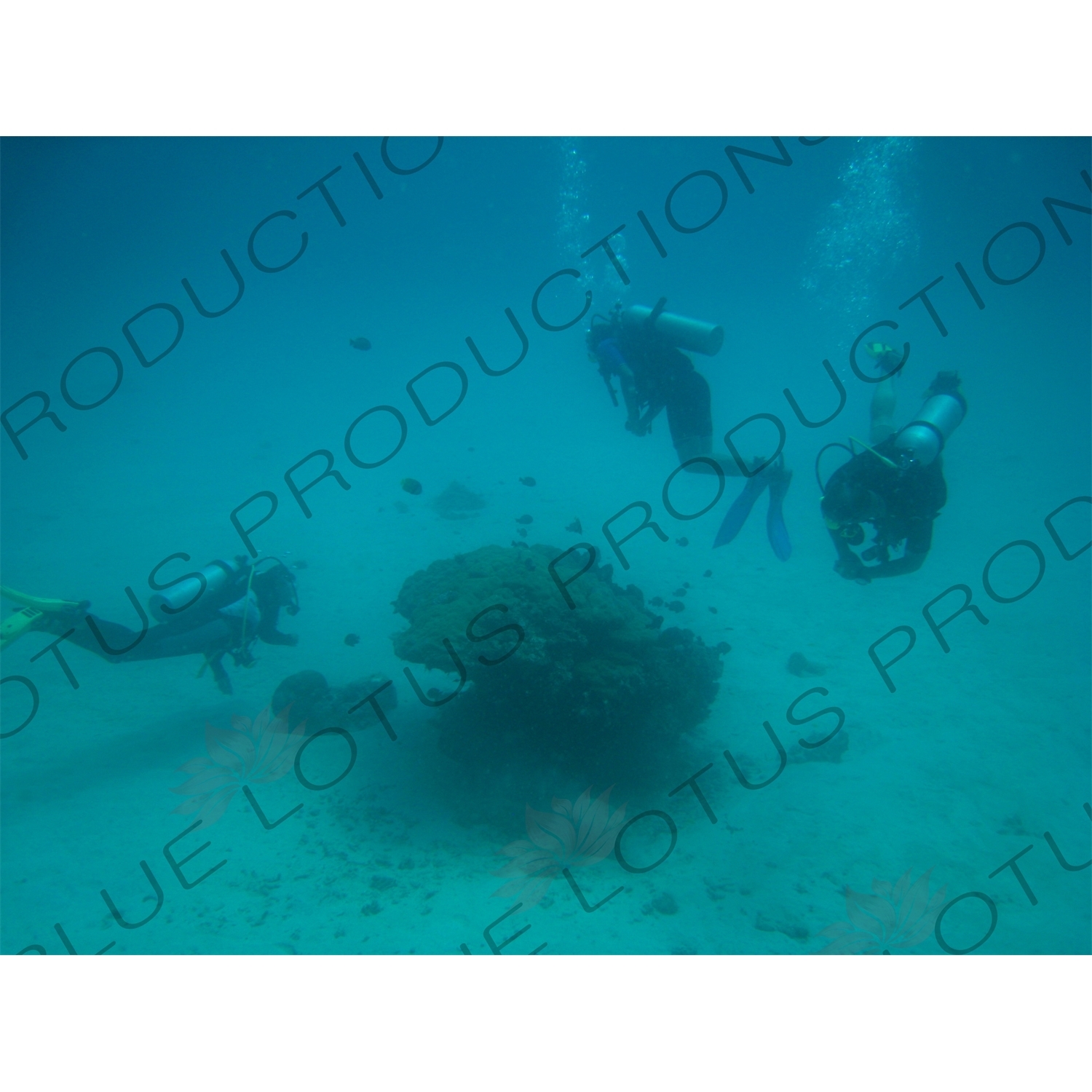 Three Scuba Divers off the Coast of Gili Meno