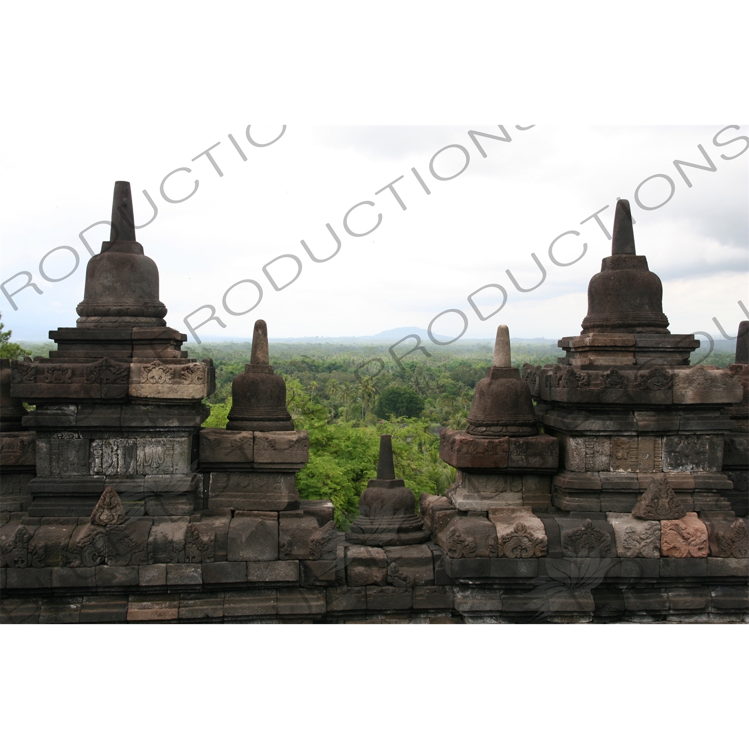 Jungle around Borobudur