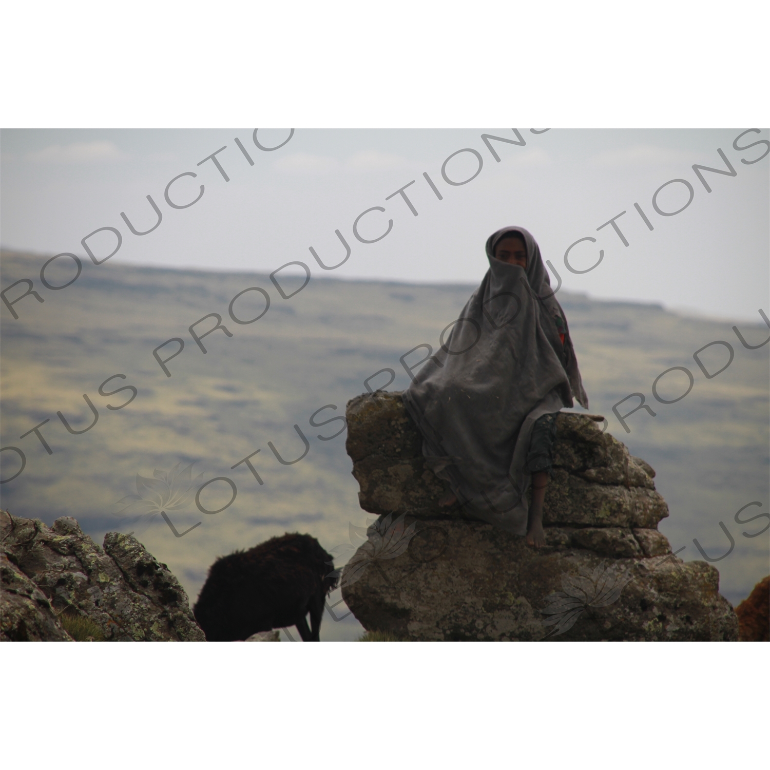 Child and Goat in Simien Mountains National Park