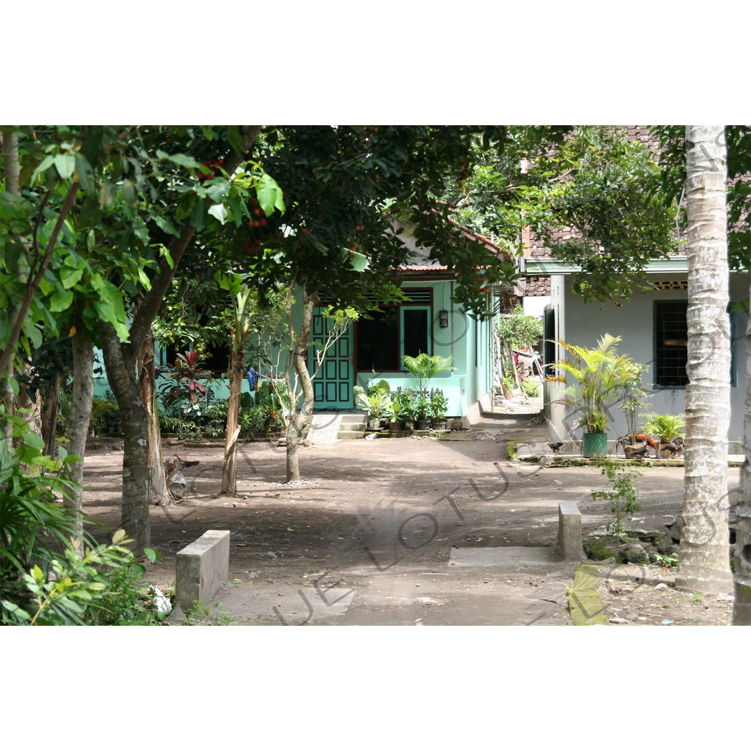 Houses outside Prambanan Temple Compound near Yogyakarta