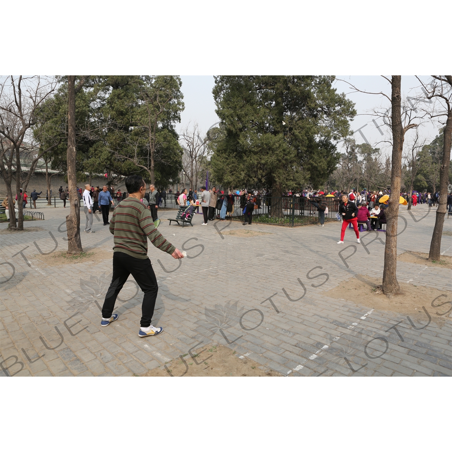 People Playing Badminton near the North Gate of the Temple of Heaven (Tiantan) in Beijing