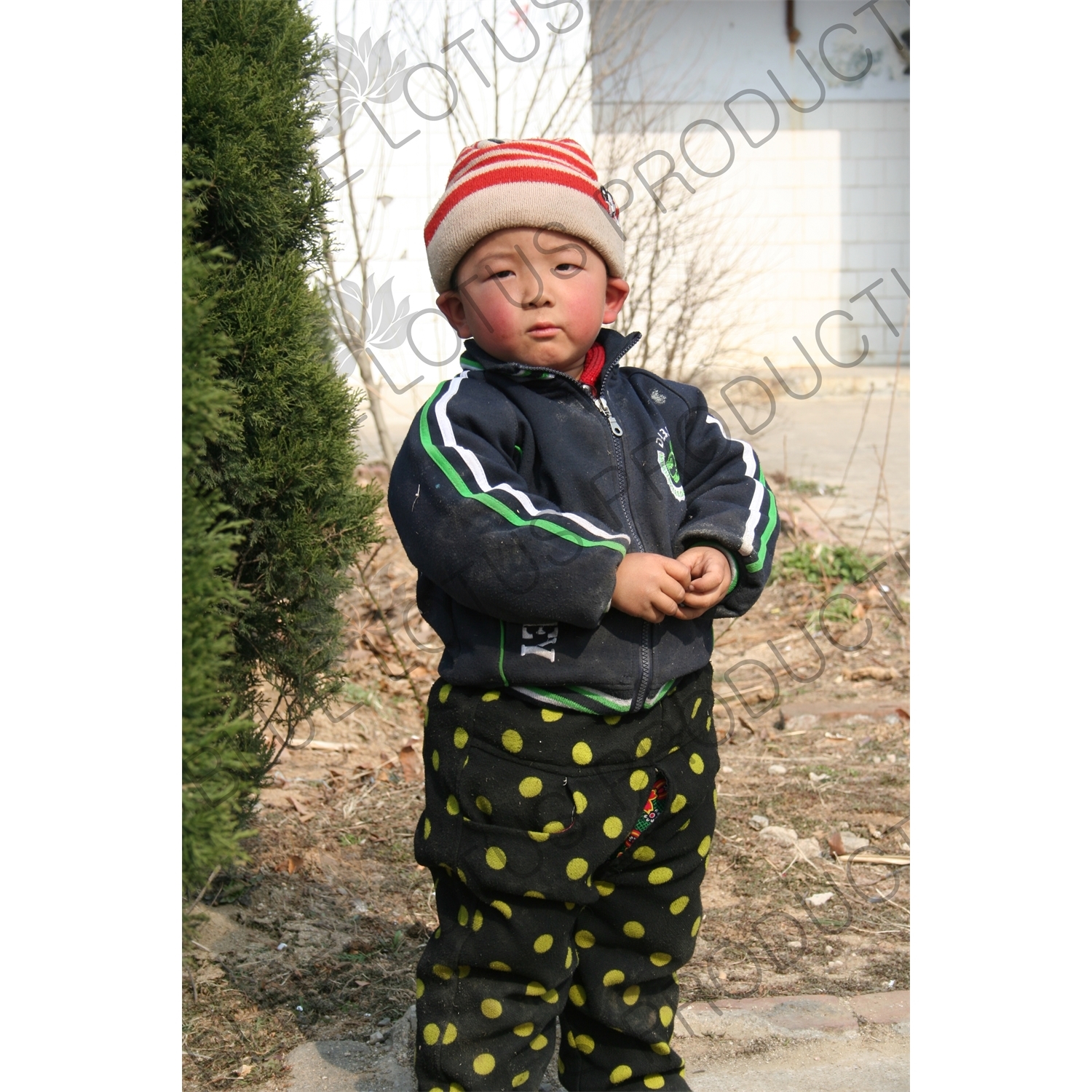 Small Boy at the Shaolin Temple in Dengfeng