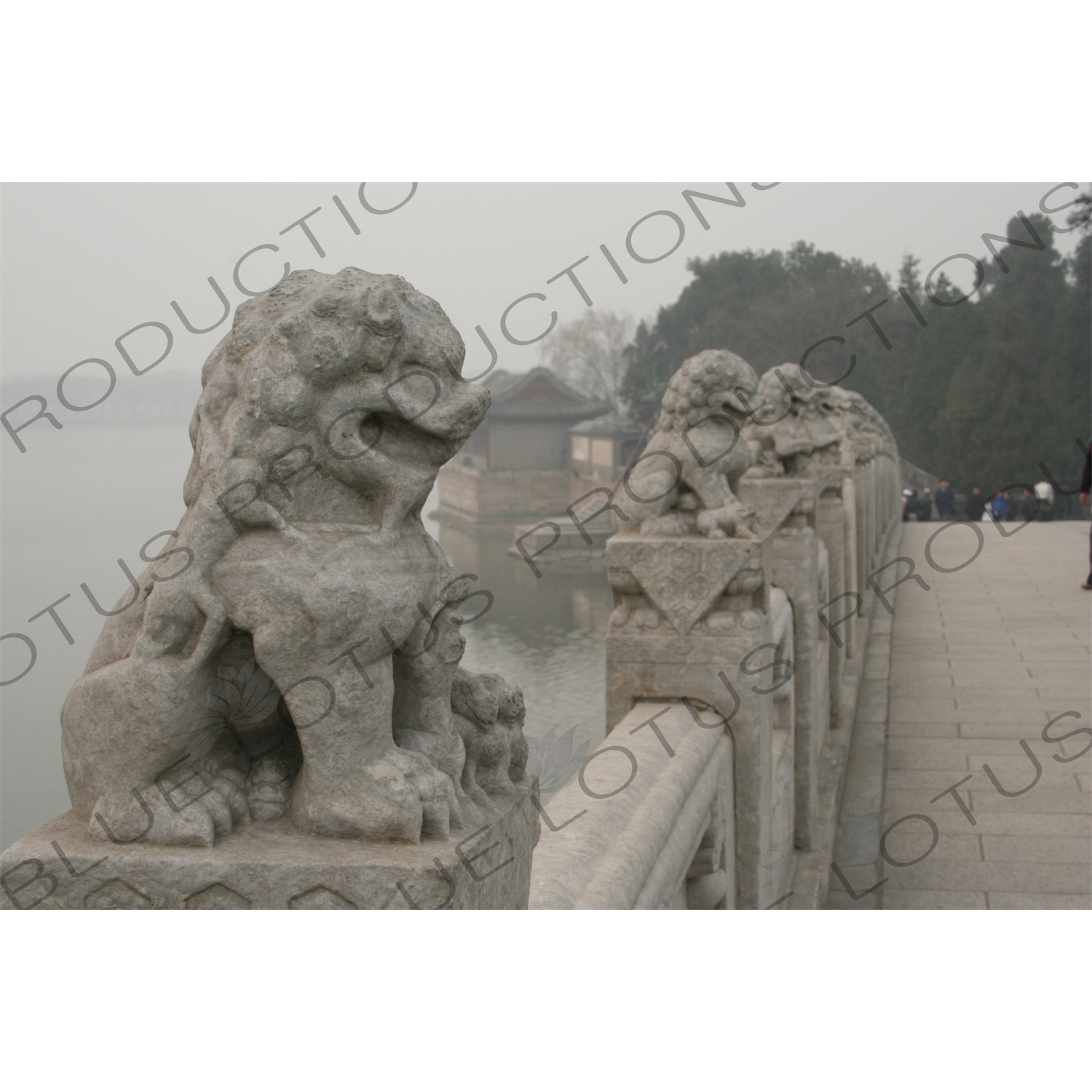 Lion Stone Carvings on the 17 Arch Bridge (Shiqi Kong Qiao) in the Summer Palace in Beijing